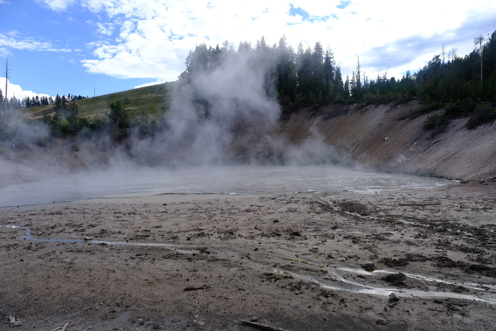 Steam drifting across a thermal basin